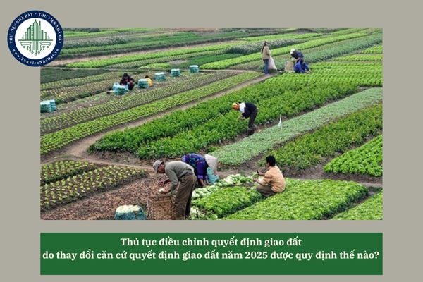 Thủ tục điều chỉnh quyết định giao đất do thay đổi căn cứ quyết định giao đất năm 2025 được quy định thế nào? 