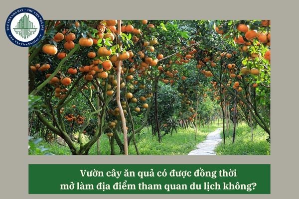 Vườn cây ăn quả có được đồng thời mở làm địa điểm tham quan du lịch không? 
