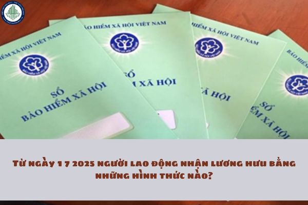 Từ ngày 1 7 2025 người lao động nhận lương hưu bằng những hình thức nào? Người lao động nhận lương hưu một lần có đủ mua nhà Đăk Lăk không?