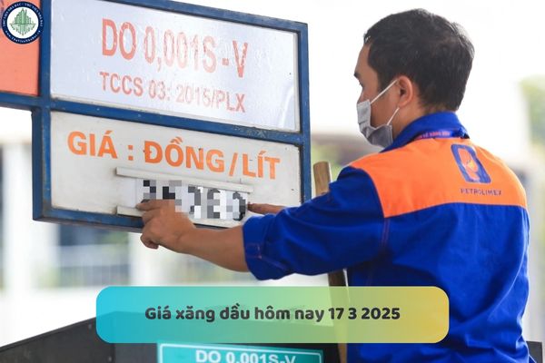 Chi tiết giá xăng dầu hôm nay ngày 17 3 2025? Biến động giá xăng dầu ảnh hưởng thế nào đến phát triển du lịch Đà Nẵng?