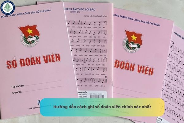 Hướng dẫn cách ghi sổ đoàn viên chính xác nhất? Đoàn viên Phan Thiết đã làm gì trong công cuộc thực hiện chuyển đổi số?