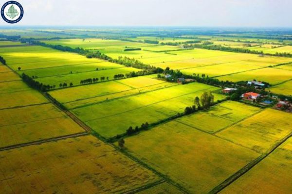Cách tính đơn giá khởi điểm cho thuê đất ngắn hạn tại TPHCM như thế nào?