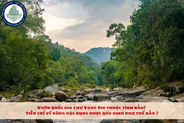 Vườn quốc gia Chư Yang Sin thuộc tỉnh nào? Tiêu chí về rừng đặc dụng được quy định như thế nào?