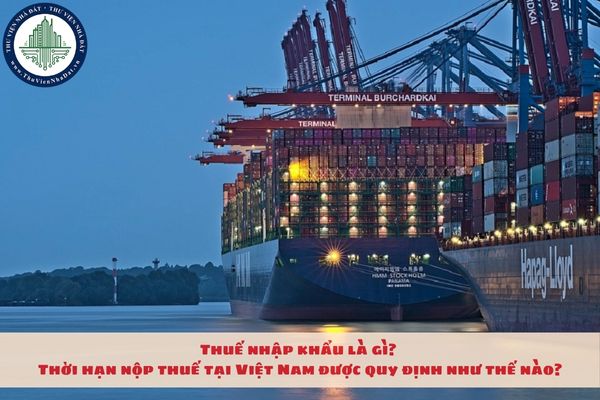 Thuế nhập khẩu là gì? Thời hạn nộp thuế tại Việt Nam được quy định như thế nào?