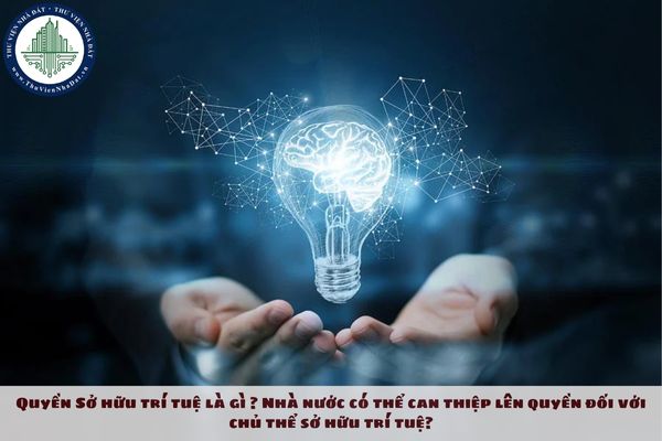 Quyền Sở hữu trí tuệ là gì ? Nhà nước có thể can thiệp lên quyền đối với chủ thể sở hữu trí tuệ?