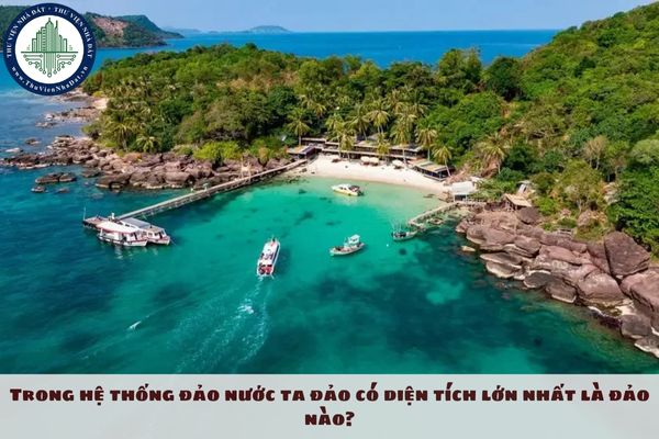 Trong hệ thống đảo nước ta đảo có diện tích lớn nhất là đảo nào?