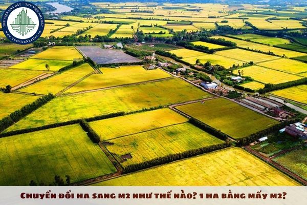 Chuyển đổi ha sang m2 như thế nào? 1 ha bằng mấy m2?