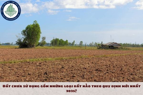 Nhóm đất chưa sử dụng gồm những loại đất nào theo quy định mới nhất 2025?