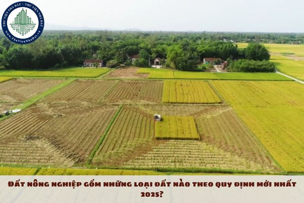Đất nông nghiệp gồm những loại đất nào theo quy định mới nhất 2025?