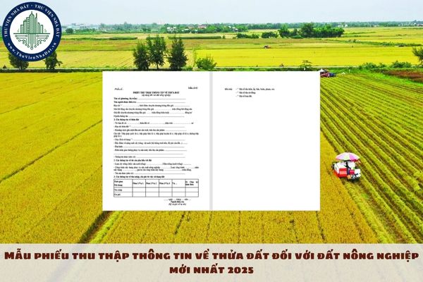 Mẫu phiếu thu thập thông tin về thửa đất đối với đất nông nghiệp mới nhất 2025