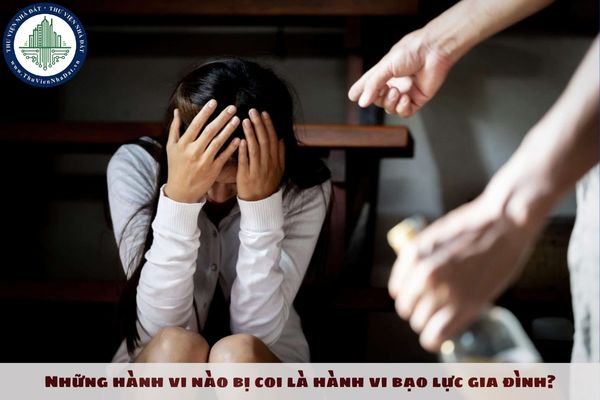 Những hành vi nào bị coi là hành vi bạo lực gia đình?