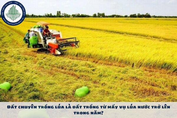 Đất chuyên trồng lúa là đất trồng từ mấy vụ lúa nước trở lên trong năm?