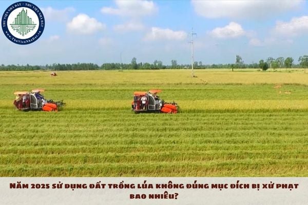 Năm 2025 sử dụng đất trồng lúa không đúng mục đích bị xử phạt hành chính bao nhiêu?