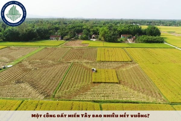 Một công đất miền Tây bao nhiêu mét vuông?