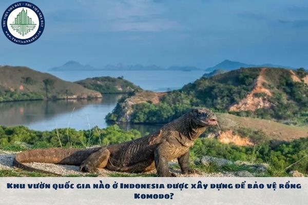 Khu vườn quốc gia nào ở Indonesia được xây dựng để bảo vệ rồng Komodo?