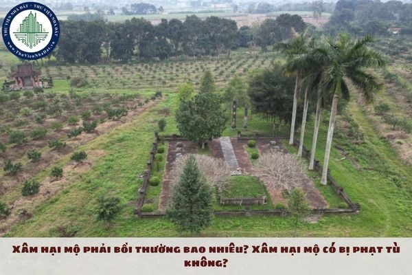 Xâm hại mộ phải bồi thường bao nhiêu? Xâm hại mộ có bị phạt tù không?