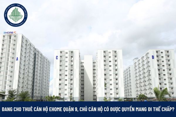 Căn hộ Ehome Quận 9