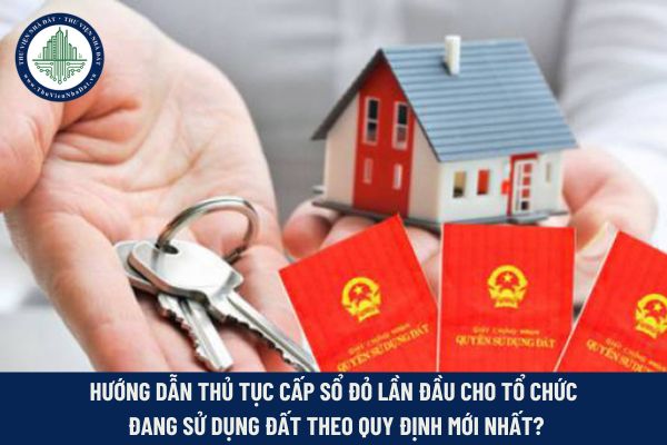 Cấp sổ đỏ lần đầu cho tổ chức 