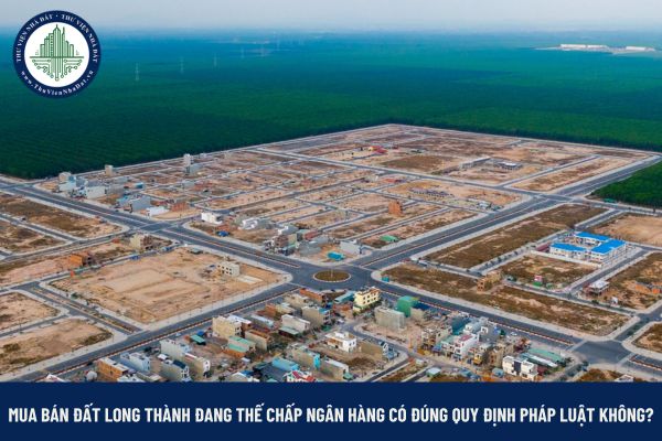 Mua bán đất Long Thành 