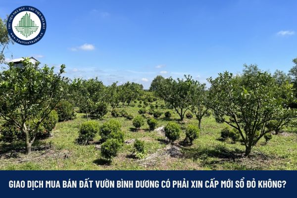 Mua bán đất vườn Bình Dương 