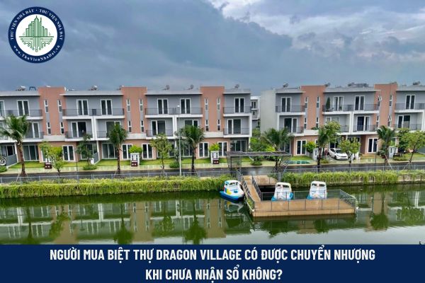 Biệt thự Dragon Village 
