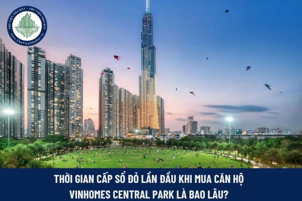 Mua căn hộ Vinhomes Central Park 