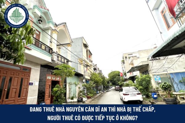Thuê nhà nguyên căn Dĩ An