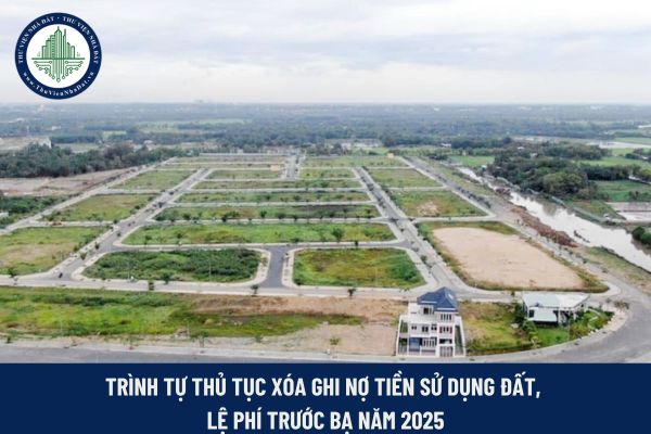 Thủ tục xóa ghi nợ tiền sử dụng đất, lệ phí trước bạ 