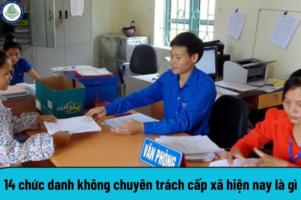 14 chức danh không chuyên trách cấp xã hiện nay là gì? Cán bộ không chuyên trách cấp xã được hưởng chế độ phụ cấp ra sao?