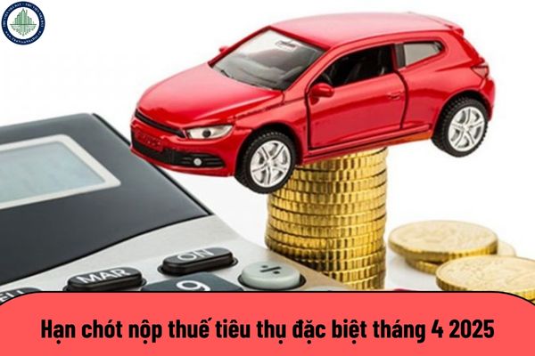Hạn chót nộp thuế tiêu thụ đặc biệt tháng 4 2025? Ngày nào tốt mua nhà, mua đất tháng 4 2025?