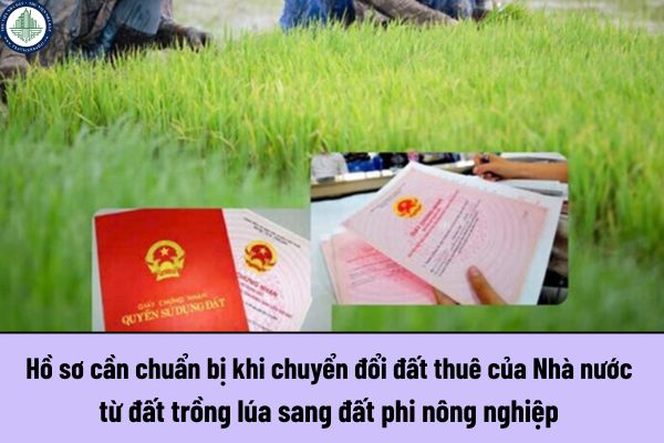 Hồ sơ cần chuẩn bị khi chuyển đổi đất thuê của Nhà nước từ đất trồng lúa sang đất phi nông nghiệp?