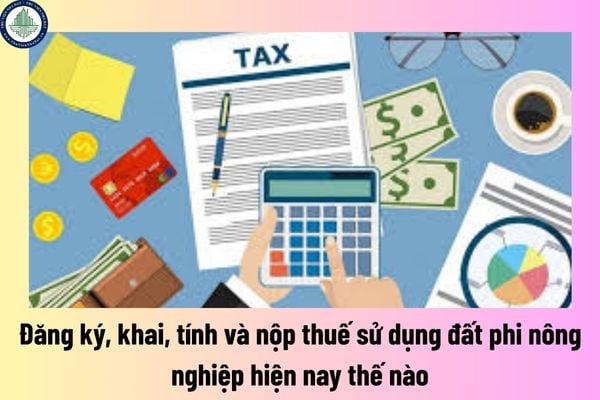 Đăng ký, khai, tính và nộp thuế sử dụng đất phi nông nghiệp hiện nay thế nào? Có bao nhiêu nhóm đất phi nông nghiệp theo quy định hiện nay?