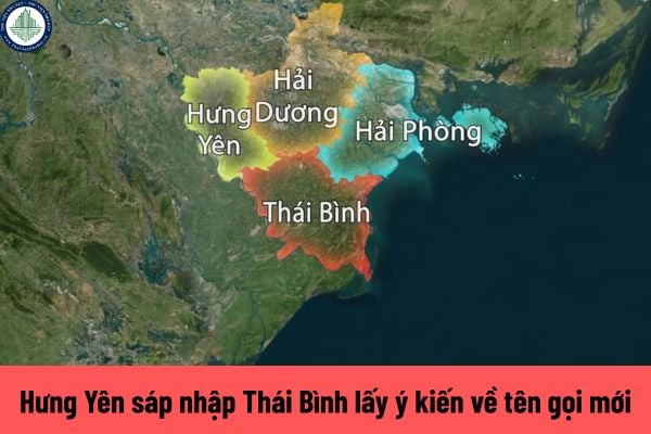thuviennhadat.vn