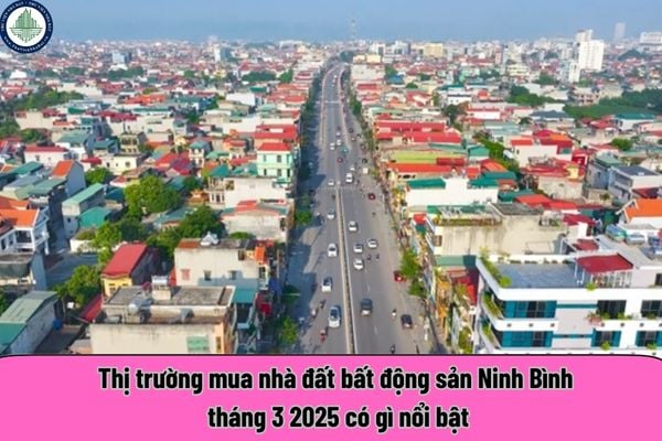 thuviennhadat.vn