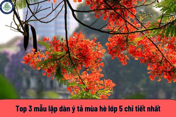 Top 3 mẫu lập dàn ý tả mùa hè lớp 5 chi tiết nhất? 5 lưu ý khi thuê căn hộ du lịch mùa hè tại Đà Nẵng?