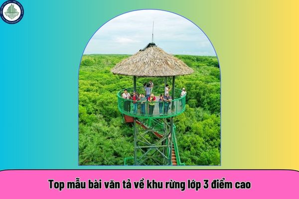 Top mẫu bài văn tả về khu rừng lớp 3 điểm cao? 6 điểm du lịch hấp dẫn trong dịp lễ 2025 ở rừng Cần Giờ? 