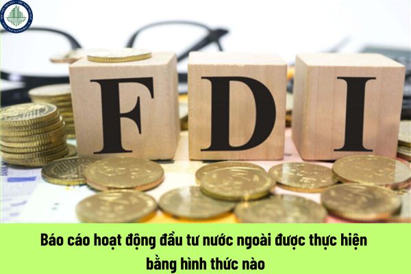 Báo cáo hoạt động đầu tư nước ngoài được thực hiện bằng hình thức nào?
