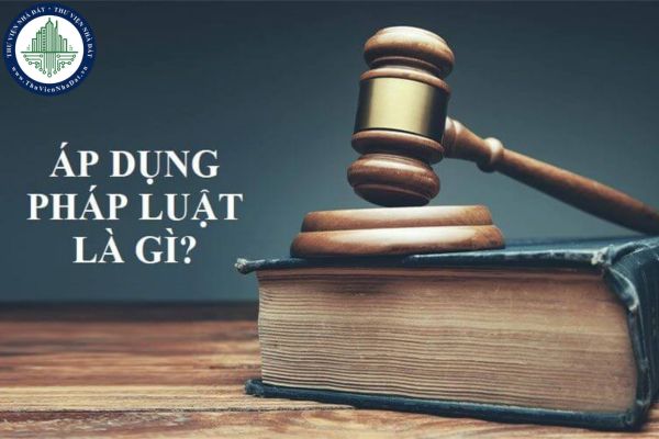 Áp dụng pháp luật là gì? Các giai đoạn áp dụng pháp luật? (Hình từ Internet)