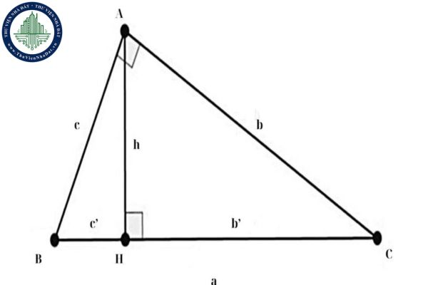 Bài thơ sin cos tan lớp 9: hệ thức lượng nhập tam giác vuông? (Hình kể từ Internet)
