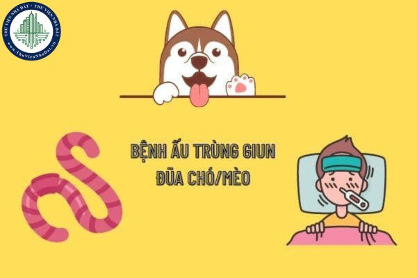 Bệnh giun đũa chó mèo: Triệu chứng nhiễm bệnh là gì? Nguyên nhân mắc bệnh đến từ nguồn nào?