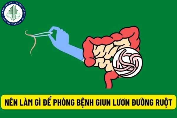 Nên làm gì để phòng được bệnh giun lươn đường ruột? Bệnh này được điều trị như thế nào theo lời khuyên của Bộ y tế?