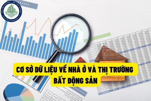 Có những loại cơ sở dữ liệu về nhà ở và thị trường bất động sản nào từ ngày 15/8/2022? Cơ quan nào sẽ chịu trách nhiệm xây dựng cơ sở dữ liệu này?
