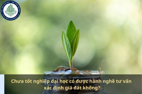 Chưa tốt nghiệp đại học có được hành nghề tư vấn xác định giá đất không? (Ảnh từ Internet)