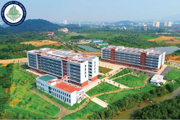 Chương trình đào tạo của trường đại học được xây dựng như thế nào?