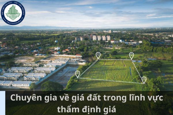 Có kinh nghiệm làm chuyên gia về giá đất ở lĩnh vực thẩm định giá được tham gia Hội đồng thẩm định giá đất cụ thể không? (Ảnh từ Internet)