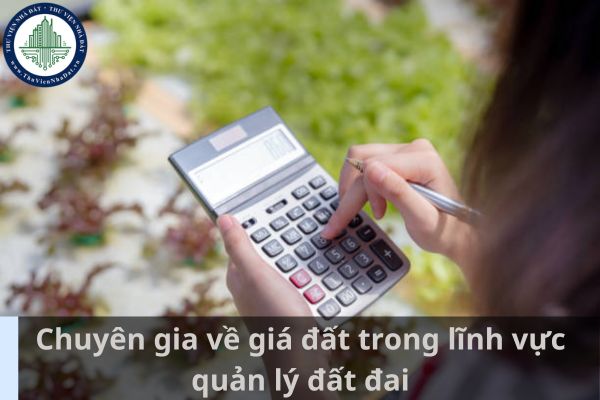 Làm chuyên gia về giá đất trong lĩnh vực quản lý đất đai thì tham gia vào Hội đồng thẩm định giá đất cụ thể được không? (Ảnh từ Internet)