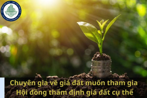 Chuyên gia về giá đất muốn tham gia Hội đồng thẩm định giá đất cụ thể phải có kinh nghiệm làm trong lĩnh vực nào? (Ảnh từ Internet)