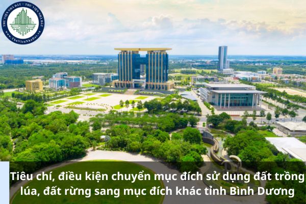 Tiêu chí, điều kiện chuyển mục đích sử dụng đất trồng lúa, đất rừng sang mục đích khác tỉnh Bình Dương từ 01/01/2025? (Ảnh từ Internet)