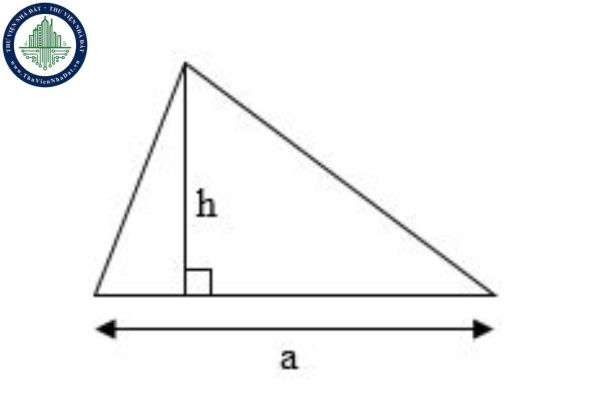Công thức tính diện tích tam giác lớp 5 ra sao? (Hình từ Internet)