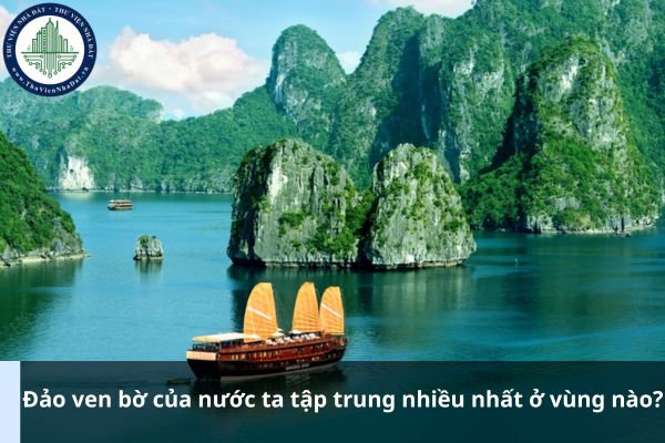 Đảo ven bờ của nước ta tập trung nhiều nhất ở vùng nào? (Ảnh từ Internet)